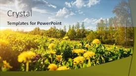  Presentation with green earth - Amazing slide set having green-spring-field-with-yellow backdrop and a light blue colored foreground