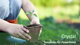  Presentation with children hands - PPT theme with green sprout and children hands background and a forest green colored foreground