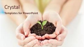  Presentation with family holding hands - Beautiful presentation design featuring green sprout at home backdrop and a lemonade colored foreground