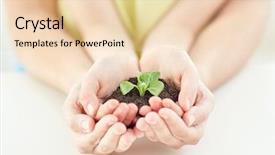  Presentation with family holding hands - Cool new PPT layouts with green sprout at home backdrop and a lemonade colored foreground