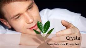  Presentation with caring - Audience pleasing theme consisting of green sprout from adverse conditions backdrop and a  colored foreground