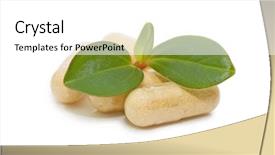  Presentation with white green - Audience pleasing PPT theme consisting of green sprout from pills isolated backdrop and a white colored foreground