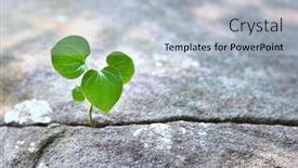  Presentation with resilience - Presentation with green-sprout-growing-in-stone background and a light blue colored foreground