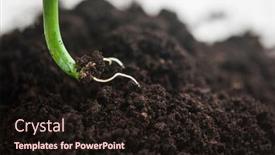  Presentation with soil - Audience pleasing slide deck consisting of green-sprout-growing-out backdrop and a wine colored foreground