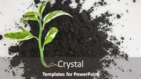  Presentation with soil - PPT theme featuring green-sprout-growing-out background and a dark gray colored foreground