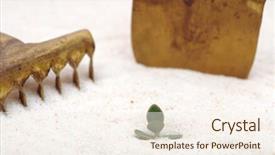  Presentation with sprout - Beautiful PPT layouts featuring green sprout in the sand backdrop and a cream colored foreground