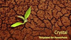  Presentation with land pollution - Presentation theme having green sprout on dry land background and a tawny brown colored foreground