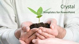  Presentation with business growing - PPT theme enhanced with green sprout symbol of grow background and a soft green colored foreground