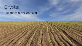  Presentation with agricultural - Amazing theme having green-sprouts-grow-in-rows backdrop and a teal colored foreground