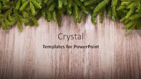  Presentation with dark green - Amazing presentation having green spruce branches on dark backdrop and a soft green colored foreground