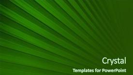  Presentation with stripe - Colorful PPT layouts enhanced with dna molecule is located backdrop and a light blue colored foreground.