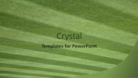  Presentation with stripe - Slide deck enhanced with green-stripe-background-grass background and a seafoam green colored foreground