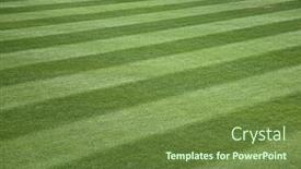  Presentation with green lawn - Slide set consisting of green-stripe-background-grass background and a tawny brown colored foreground