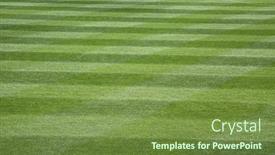  Presentation with stripe - Beautiful slide deck featuring green-stripe-background-grass backdrop and a tawny brown colored foreground