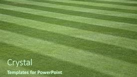  Presentation with green lawn - Slides having green-stripe-background-grass background and a tawny brown colored foreground