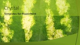  Presentation with grass texture on green - Slide deck enhanced with green-striped-texture background and a yellow colored foreground