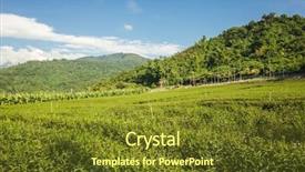  Presentation with green tea and milk - Beautiful theme featuring green tea farm at countryside backdrop and a tawny brown colored foreground