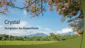  Presentation with green tea - PPT layouts enhanced with green tea farm at countryside background and a  colored foreground