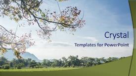  Presentation with green tea and milk - PPT layouts with green tea farm at countryside background and a  colored foreground