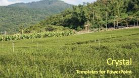  Presentation with green tea - Colorful slide deck enhanced with green tea farm at countryside backdrop and a  colored foreground