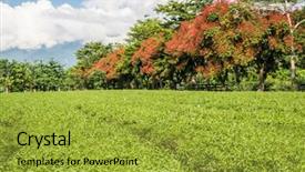  Presentation with green tea and milk - Audience pleasing PPT layouts consisting of green tea farm at countryside backdrop and a  colored foreground