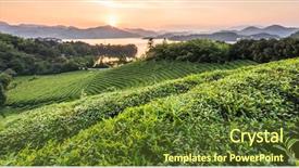  Presentation with green tea - Cool new slide deck with green tea garden in sunset backdrop and a  colored foreground