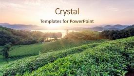  Presentation with green tea - PPT theme enhanced with green tea garden in sunset background and a  colored foreground