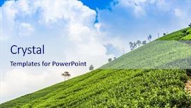  Presentation with green tea - Cool new slides with alkaline battery with electrical cables backdrop and a forest green colored foreground