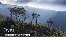  Presentation with tea plantation - Beautiful PPT theme featuring assam - green tea plantation landscape maskelyia backdrop and a dark gray colored foreground