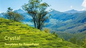  Presentation with green morning - PPT layouts having green-tea-plantation background and a tawny brown colored foreground