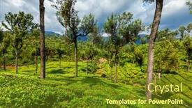  Presentation with green hills - Slide set with green-tea-plantations-in-hills background and a tawny brown colored foreground