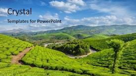  Presentation with munnar - PPT theme having green tea plantations in the morning munnar kerala state india background and a teal colored foreground