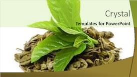  Presentation with green tea - PPT layouts featuring green-tea-with-leaf-isolated background and a yellow colored foreground