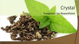  Presentation with green tea - Cool new presentation theme with green tea with mint backdrop and a yellow colored foreground