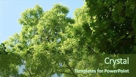  Presentation with corner - PPT layouts with green tree brances frame corner with blue sky and sun flare in background background and a tawny brown colored foreground