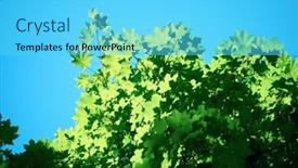  Presentation with flare - PPT theme with green tree brances frame corner with blue sky and sun flare in background background and a cyan colored foreground