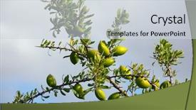  Presentation with green tree - PPT theme consisting of green tree branch in morocco background and a lemonade colored foreground