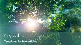  Presentation with abstract spring green - Slide set consisting of green tree foliage the sun background and a ocean colored foreground
