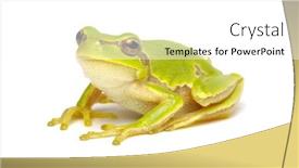  Presentation with green tree - Cool new PPT layouts with green-tree-frog-isolated backdrop and a white colored foreground