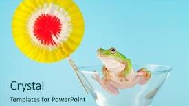  Presentation with green glass - Slide deck featuring green tree frog or white's tree frog or dumpy tree frog litoria caerulea in cocktail glass background and a light blue colored foreground