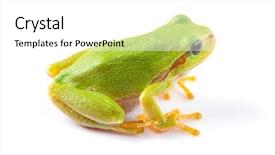  Presentation with frogs - Audience pleasing slide set consisting of pretty woman sitting on a porch decorated for thanksgiving and halloween backdrop and a tawny brown colored foreground
