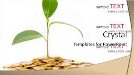  Presentation with money tree - Theme having green tree growing on money background and a white colored foreground