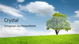  Presentation with colorful green corn field - Colorful theme enhanced with green tree in a field backdrop and a light blue colored foreground