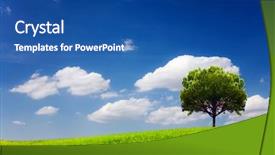  Presentation with tree sky trees green - PPT theme consisting of green tree in a field background and a  colored foreground