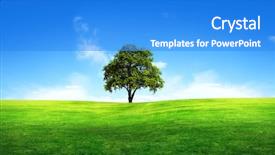  Presentation with green tree - Slide deck consisting of green tree in a field background and a cobalt blue colored foreground