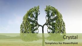  Presentation with green tree - PPT layouts featuring green tree in the desert background and a mint green colored foreground