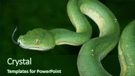  Presentation with dark green - PPT layouts with green tree python with dark background and a forest green colored foreground