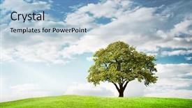  Presentation with green tree - Cool new theme with green tree backdrop and a light blue colored foreground