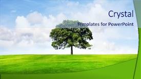  Presentation with water blue sky and peaceful - PPT theme enhanced with green trees - field tree and blue sky background and a light blue colored foreground
