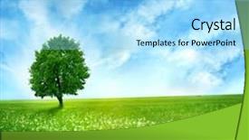  Presentation with summer trees - Amazing slides having green trees - summer landscape backdrop and a light blue colored foreground